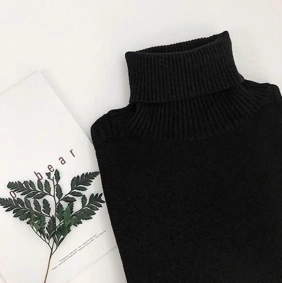 High Neck Long Ribbed Knit Sweater