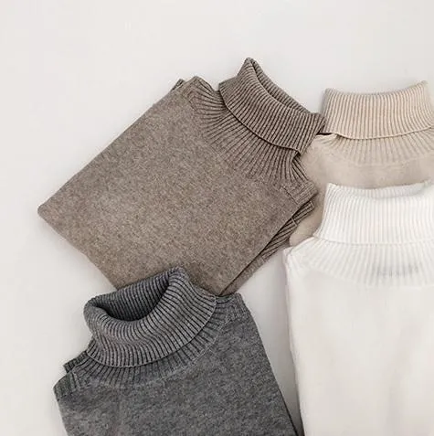 High Neck Long Ribbed Knit Sweater