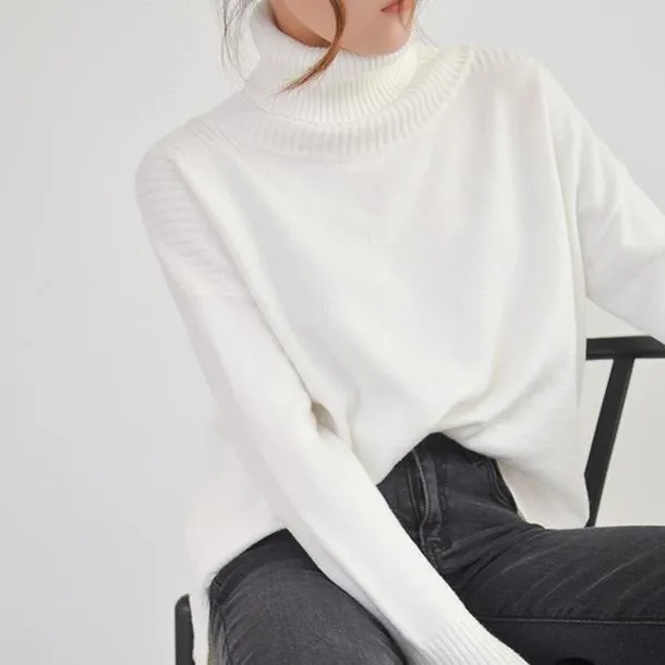 High Neck Long Ribbed Knit Sweater
